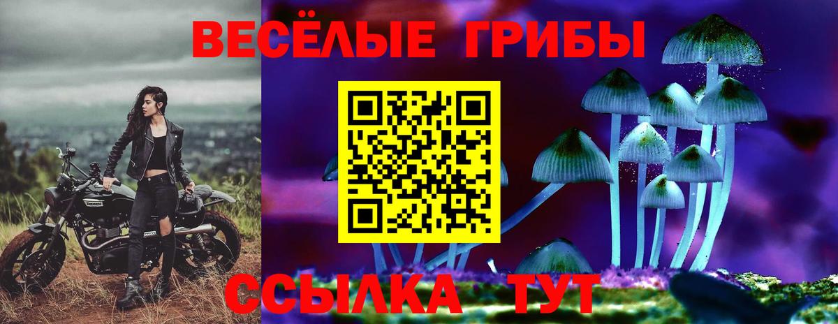 Псилоцибиновые грибы Psilocybe Оренбург
